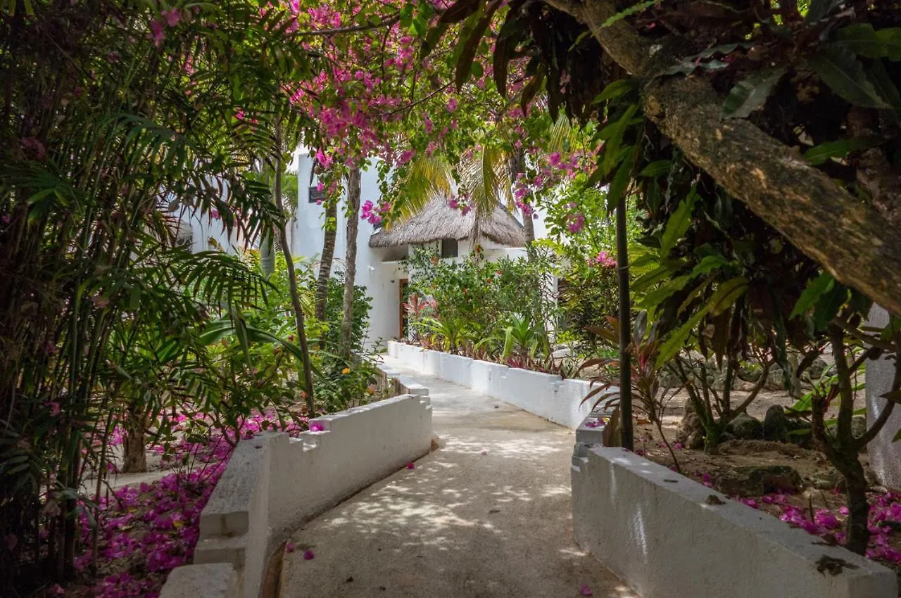 Casita Sunray. 2 King Beds! Pool And Beach Akumal 0*,